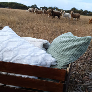 Alpaca cushions in the paddock