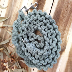 Solid Eucalyptus Colour Leash