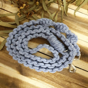 Solid Colour in Iris - Leash