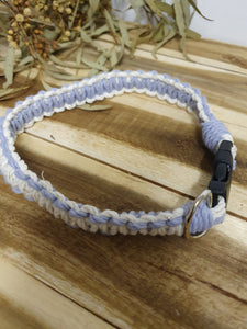 Pet Collar in Iris and Cream Colour