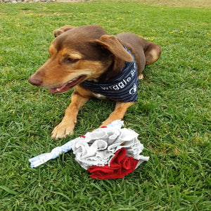 Pup Playing with Snuffle Ball