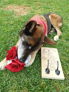 Pet Leash Sign next to Pup in Garden